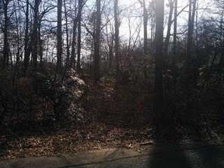 1015 Dogwood Park - Wooded Vacant 0.41 Acres!