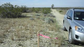 10 Acre flat land for Sale Palmdale Los Agneles County California