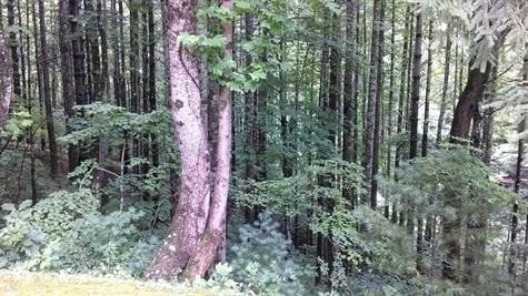 10 Acres of Wooded Land on Elk Creek Rd