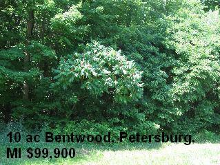 15261 Bentwood Trail Petersburg MI 49270