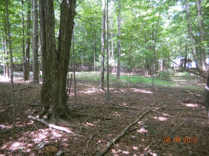 1/2 Acre Corner Country Building Lot - Water & Sewer - Village of Monticello --