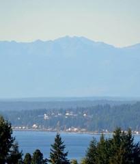 1br 1bd 1ba Inviting Open Floor PlanPrivate Balcony w/Olympic Mountain/Water View!