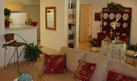 1br Affordable Luxury Homes In Plano!