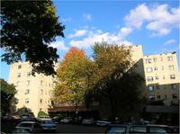 1br Amberson Gardens
