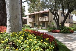 1br WOW .. GORGEOUS LARGE BRIGHT ONE BEDROOM APARTMENT HOME WITH LARGE PATIO! HURRY IN FOR THIS!