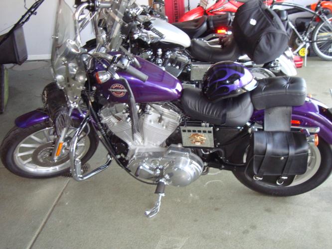 2002 Harley Davidson XL883L Sportster Cruiser in Joliet IL