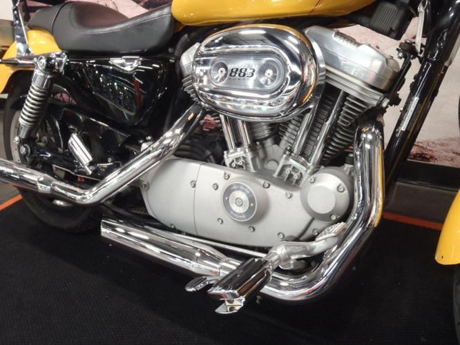 2005 Harley-Davidson Sportster 883 Custom - XL883C