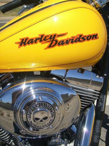 2005 Harley Davidson DYNA