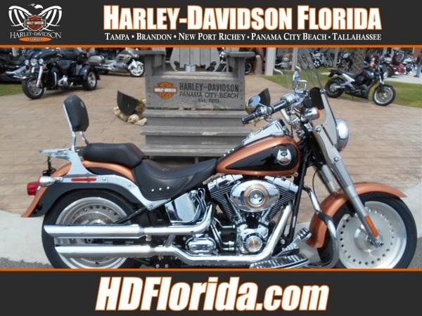 2008 Harley-Davidson FLSTF SOFTAIL FAT BOY