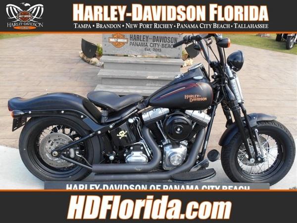 2010 Harley-Davidson FLSTSB SOFTAIL CROSS BONES