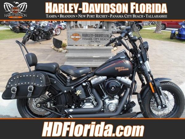 2010 Harley-Davidson FLSTSB SOFTAIL CROSS BONES