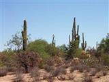20 Acres w/ views!! Lot/Land in Tucson AZ