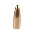 22 Caliber (.224) 52 Gr Hollow Point Boat Tail (Per 250)