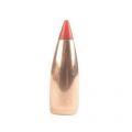 22 Caliber Bullets (.224) 40 Gr V-Max (Per 250)