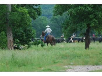 $2.40, River Front farm and ranch land 1,200 acres - excellent for cattle and horses
