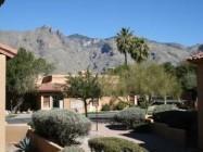 2br Condo for rent in Tucson AZ 6651 N Campbell Ave