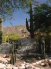 2br House for rent in Tucson AZ 7601 N Calle Sin Envidia