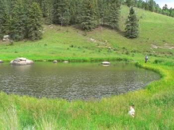 35 Acres of Stunning Mountain Beauty * Your Own Pond