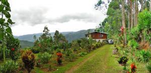 3br A 37-Acre Farm with Unbelievable Views (Orosi Valley - SanchirĂ Area)