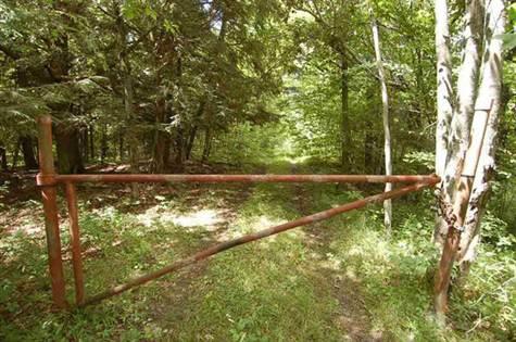 40 Wooded Acres near Luther