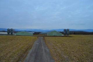 49 acre farm with turn key Commercial Poultry and homes call Nick Whitelock 540-383-9601