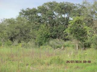 4.74 Acres Paved Road just west of Citrus Springs