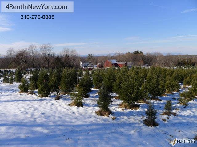 4br Quintessential Historic Farmhouse on Christmas Tree Farm for rent. Parking Available!