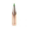 8mm 180 gr Ballistic Tip (Per 50)