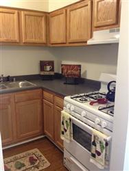 950 Sq. Feet Completely Renovated units new appliances new carpet and hard-surface flooring. On