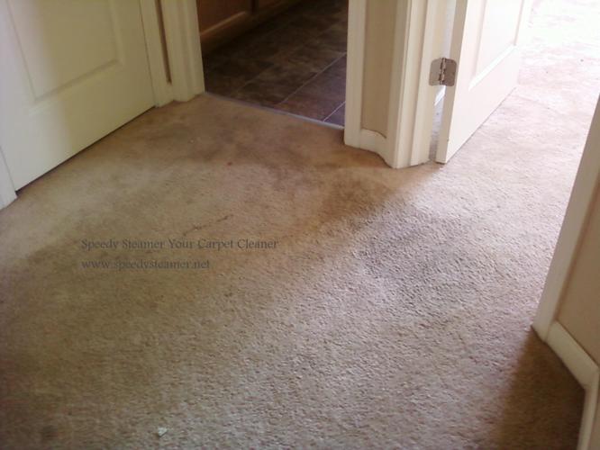►VACANT HOME Carpet Cleaning ~Flat Rates ~