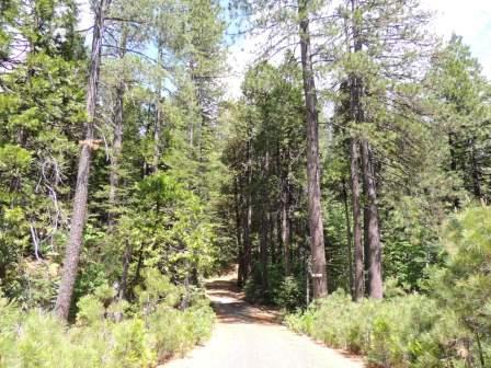 9.70ac NEW PRICE! Timbered Mountain Retreat With Easy Access / Vacant Land