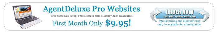 AgentDeluxe Pro - Real Estate Websites, $9.95 First Month