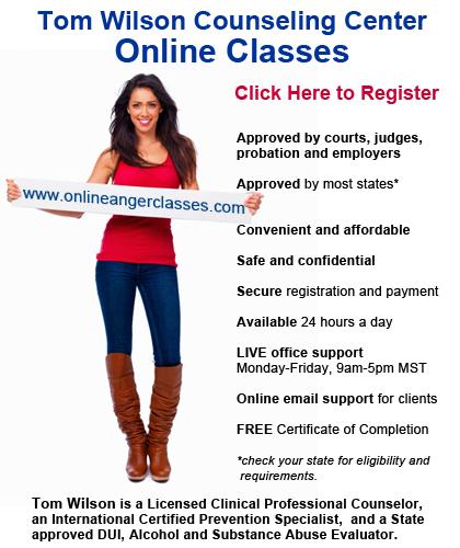 Ann Arbor, Michigan Online Anger Management Classes by a Licensed Counselor for Court