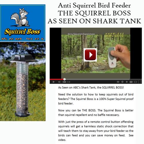 Anti Squirrel Bird Feeder | As Seen on Shark Tank