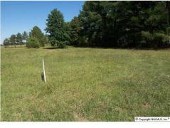 Athens AL Madison County Land/Lot for Sale