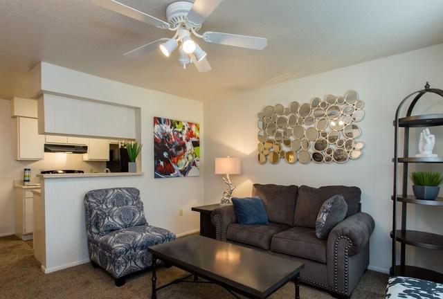 Beautiful College Station Apartment for rent