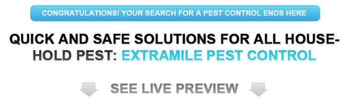 Bed Bugs Control Sleep at Easy with a Simple Call 561 470-0279 Prompt Answer