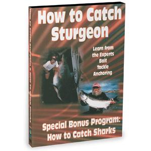 Bennett DVD - How To Catch Sharks & How To Catch Sturgeon (F3976DVD)