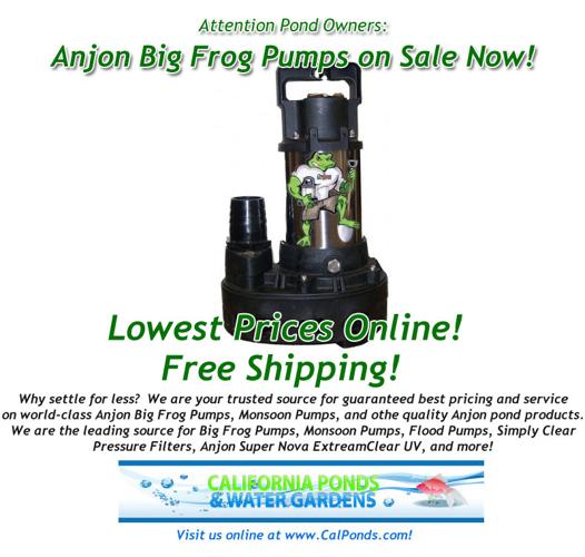 Big Frog Pumps, Pond Supplies, Lowest price