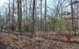 Blairsville GA Union County Land/Lot for Sale