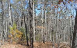 Blairsville GA Union County Land/Lot for Sale