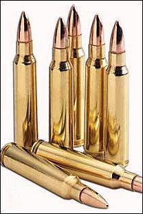 - - - - Brass-cased_ammo (.223) factory new - - - -