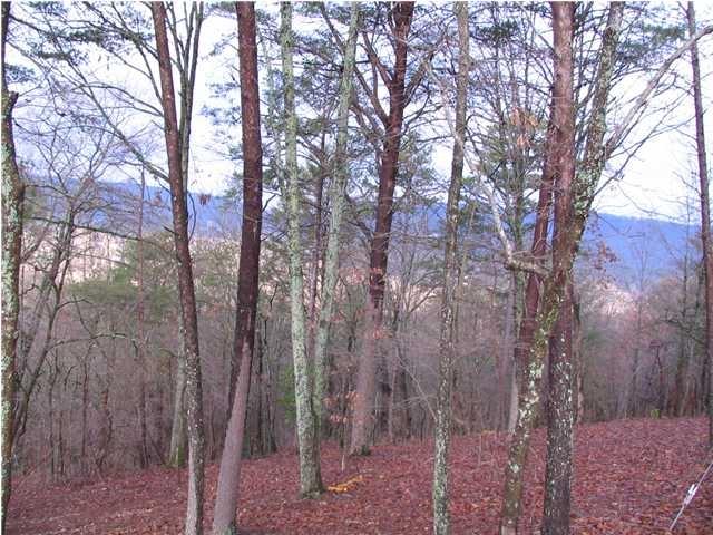 Build your Dream home-Awesome Mtn Views from this 1.14+/- acre lot