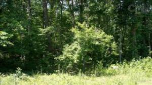 Build your dream house on this great building site on this Irmo vacant lot!