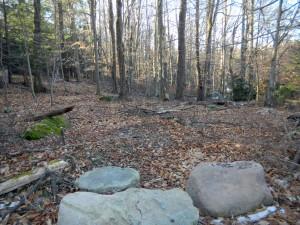 Building Lot w/Lake Right. Water & Sewer in. Only 1995 down & 240 per month!!