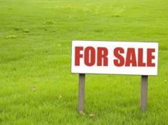 Butler GA Taylor County Land/Lot for Sale