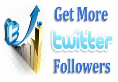 Buy twitter followers 75K only $125. Website visitors 25K only $30. Buy Facebook likes