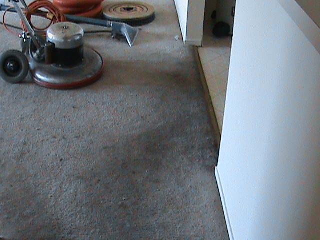 Carpet cleaning bad stains, Steam Dry Often Imitated Never Duplicated