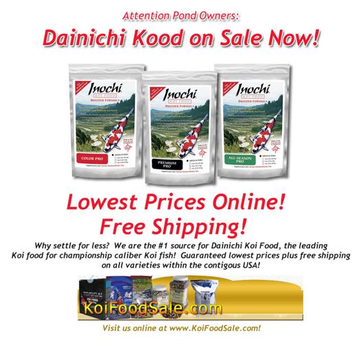 Dainichi Premium Koi Food, Pond Supplies, Lowest price
