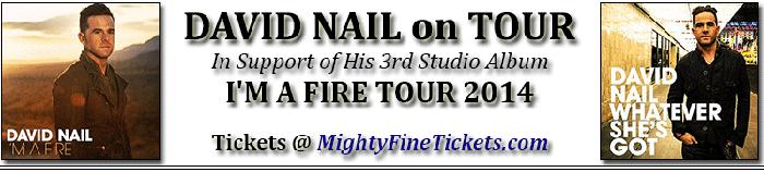 David Nail I'm a Fire Tour Concert Grand Rapids Tickets 2014 Intersection